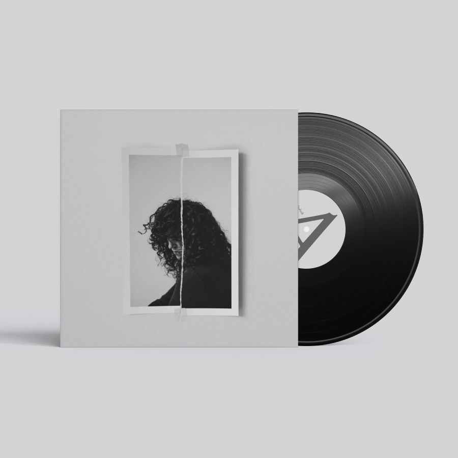 Anna Ludwik - Vinyl LP